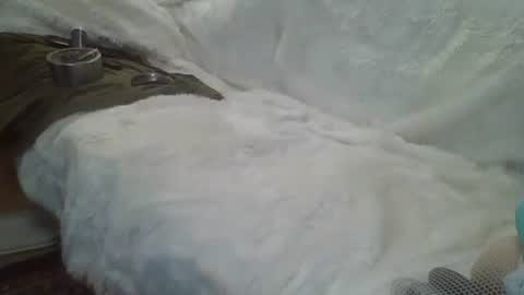 Snapshot of bigreallover chatting on 12/14/24, 05:29 ...... online show from 12/14/24, 05:29