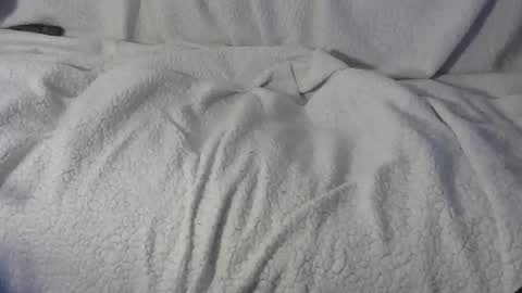 Snapshot of bigreallover chatting on 12/21/24, 01:53 ...... online show from 12/21/24, 01:53