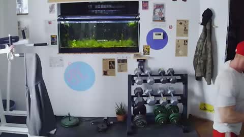 Jarvis online show from 02/08/25, 10:19