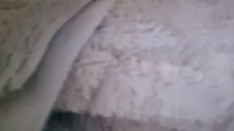 bigsssnake69 online show from 07/09/26, 10:47