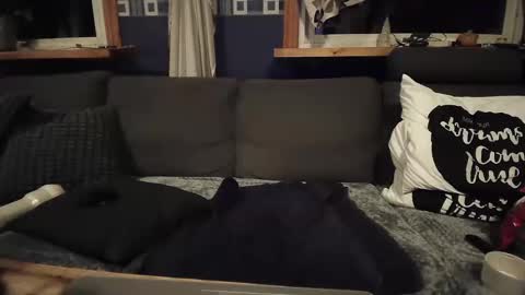 bigswe1 online show from 12/16/24, 04:23