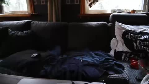 bigswe1 online show from 12/18/24, 08:20