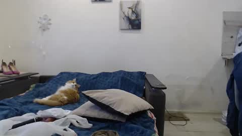 Snapshot of bigtwinsomg chatting on 11/18/25, 06:40 BigTwinsOmg online show from 11/18/25, 06:40