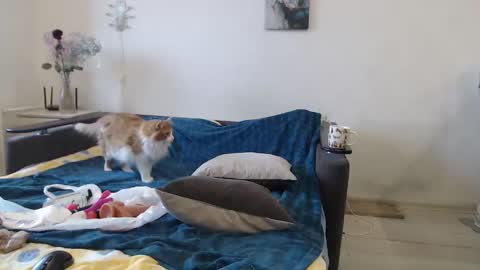 BigTwinsOmg online show from 03/16/26, 06:50