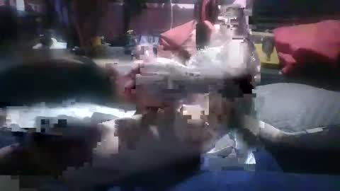 bihhplease2 online show from 04/14/26, 02:39