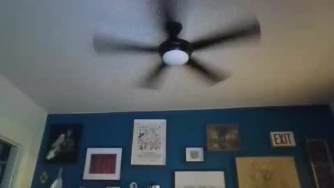 billjames55 online show from 04/23/26, 11:42