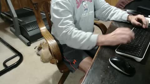 Snapshot of billy471 chatting on 01/05/25, 09:14 billy471 online show from 01/05/25, 09:14