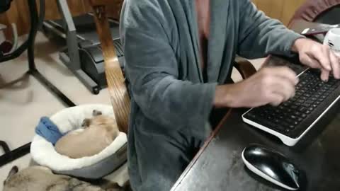 Snapshot of billy471 chatting on 11/20/25, 03:12 billy471 online show from 11/20/25, 03:12