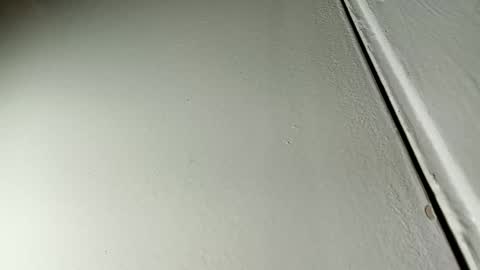 Snapshot of bilmapiedradura chatting on 01/19/25, 07:36 Bill online show from 01/19/25, 07:36