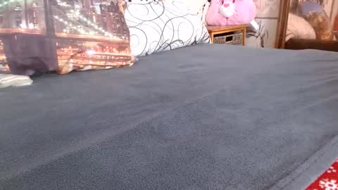 Bill online show from 02/17/26, 12:56