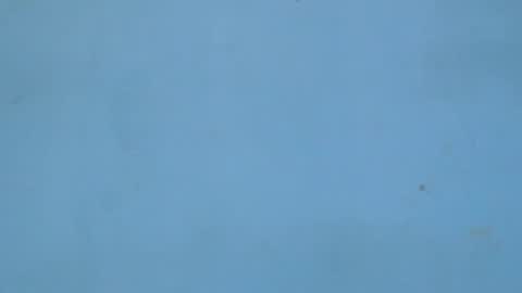 Snapshot of birdiexxslut chatting on 11/18/25, 09:08 birdiexxslut online show from 11/18/25, 09:08