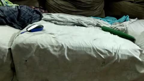 Snapshot of bismalldick679082 chatting on 12/07/24, 11:18 boyslave online show from 12/07/24, 11:18