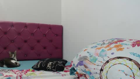 Snapshot of bitch_mommy_x chatting on 01/26/25, 12:22 I am everything. Your highness queen  goddess mistress god daddy mommy boss master.  you will address me as such online show from 01/26/25, 12:22