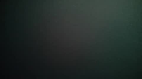 Snapshot of bitwink30 chatting on 02/13/26, 03:24 bitwink30 online show from 02/13/26, 03:24