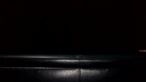 Snapshot of bkjdogfornow chatting on 01/05/25, 01:56 bkjdogfornow online show from 01/05/25, 01:56