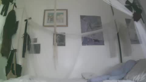 vampire fang  online show from 10/22/25, 07:35