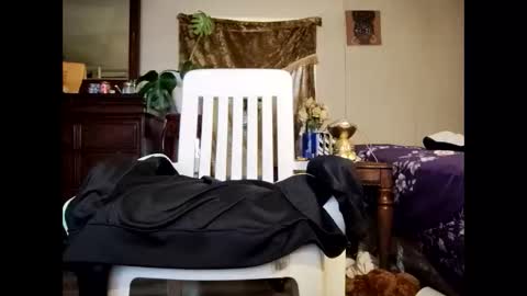 blacccocc4u2 online show from 03/29/26, 12:16