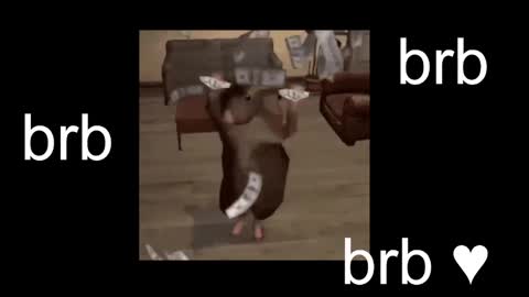  Black Kittie    Wednesday - 1300 - 1900 GMT help me get 100 thumbs up online show from 10/26/25, 01:17