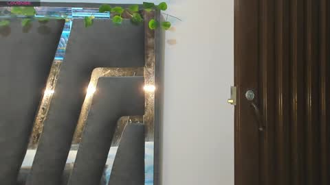 B L A C K  R O S E  online show from 01/30/25, 11:33