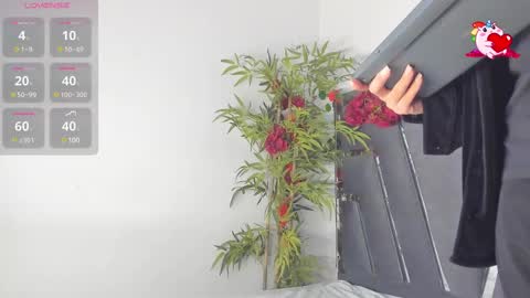 B L A C K  R O S E  online show from 03/10/25, 11:42