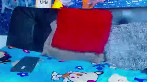 Snapshot of black_seus85 chatting on 11/05/25, 05:13 duglas online show from 11/05/25, 05:13