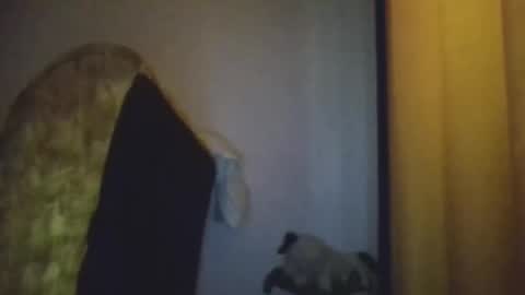 black african online show from 11/20/25, 05:29