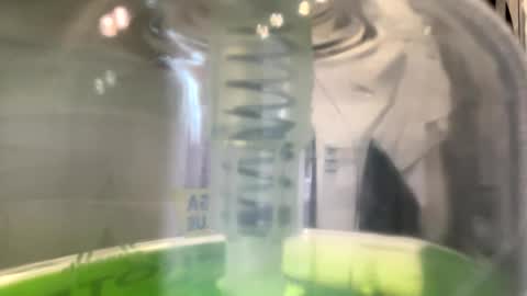 Blackybiggg online show from 12/02/24, 07:58