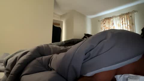 Blackybiggg online show from 12/03/24, 09:33