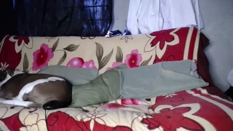 Snapshot of blackpanter_13 chatting on 09/27/25, 11:48 Black Panther online show from 09/27/25, 11:48