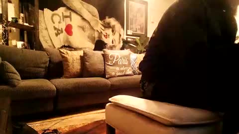 blackriches96 online show from 02/17/26, 03:58