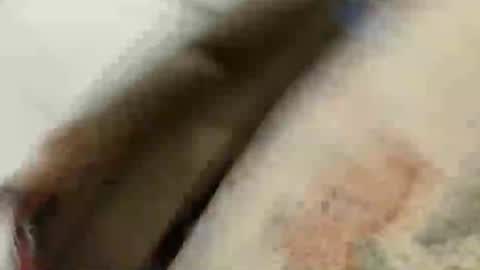 BlakeAndSkylar online show from 05/22/26, 08:21