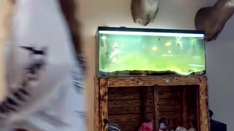 blasianangel444 online show from 04/17/26, 05:32