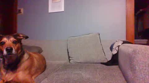 Snapshot of blaw_1321 chatting on 10/16/25, 07:20 blaw_1321 online show from 10/16/25, 07:20