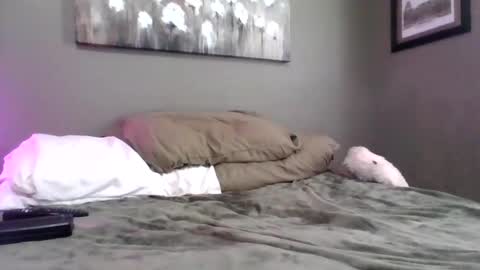 blazeentertainment2025 online show from 02/21/26, 06:09