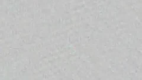 Zool online show from 05/06/26, 08:30
