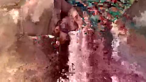 bleez75 online show from 02/16/26, 10:33