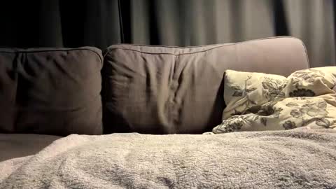 Snapshot of bllyidol chatting on 09/25/25, 06:28 BlIdoL online show from 09/25/25, 06:28