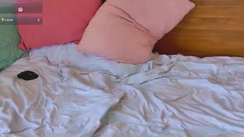 Snapshot of blondiesweet chatting on 10/15/25, 04:56 Sasha online show from 10/15/25, 04:56