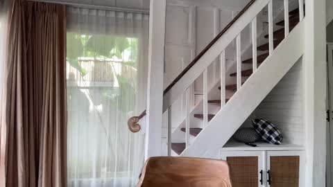 Emma Bloom online show from 01/14/26, 02:17