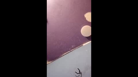 blue17562 online show from 04/11/26, 03:16