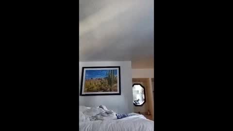 blue17562 online show from 04/12/26, 03:06