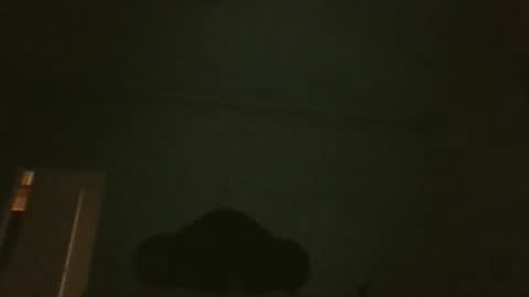 bluemoose70 online show from 04/19/26, 02:55