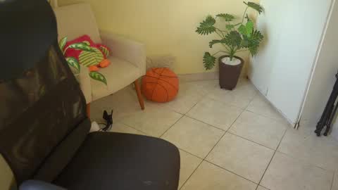 Snapshot of bluemysticlady chatting on 03/11/25, 10:51 FLORAA online show from 03/11/25, 10:51