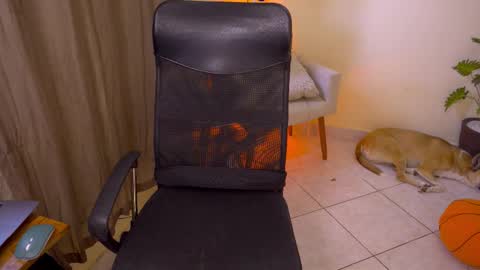 FLORAA online show from 12/03/25, 01:53