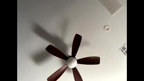 blueskyy56 online show from 01/13/26, 05:40