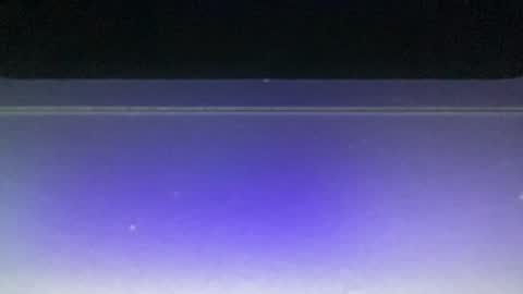 bluuuuuuub online show from 12/29/24, 11:08