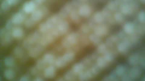 Snapshot of boatman00769 chatting on 05/31/26, 06:31 Motto Motto online show from 05/31/26, 06:31