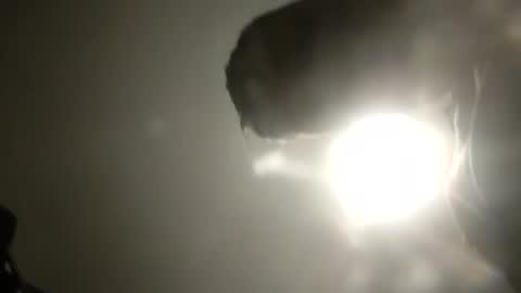 Snapshot of bobby160968 chatting on 02/24/25, 06:26 bobby160968 online show from 02/24/25, 06:26