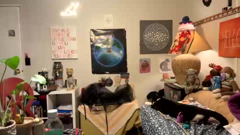 Snapshot of bobbyq2969 chatting on 11/13/25, 03:38 bobbyq2969 online show from 11/13/25, 03:38