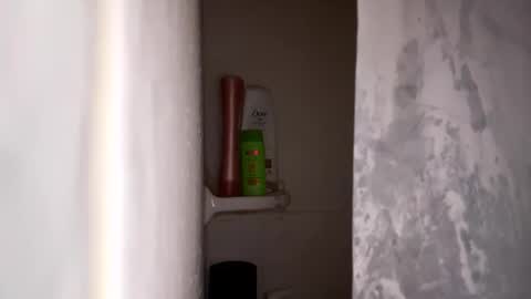 Snapshot of bobfish663 chatting on 01/31/26, 11:03 bobfish663 online show from 01/31/26, 11:03